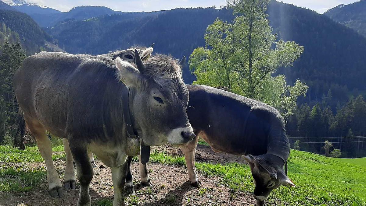 Thalerhof - Fotogalerie Photo