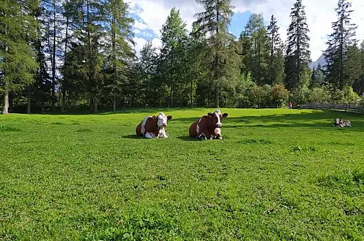 Obersanterhof - Seznam Photo