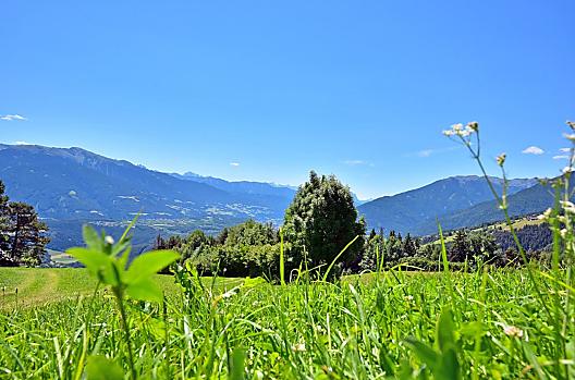 Steinerhof - Seznam Photo