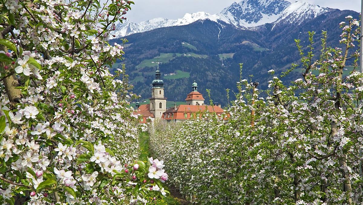 Schlettererhof - Fotogalerie Photo