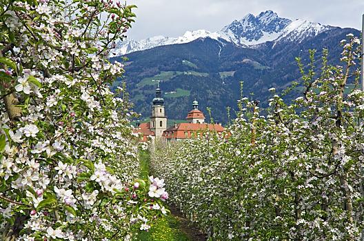 Schlettererhof - Seznam Photo