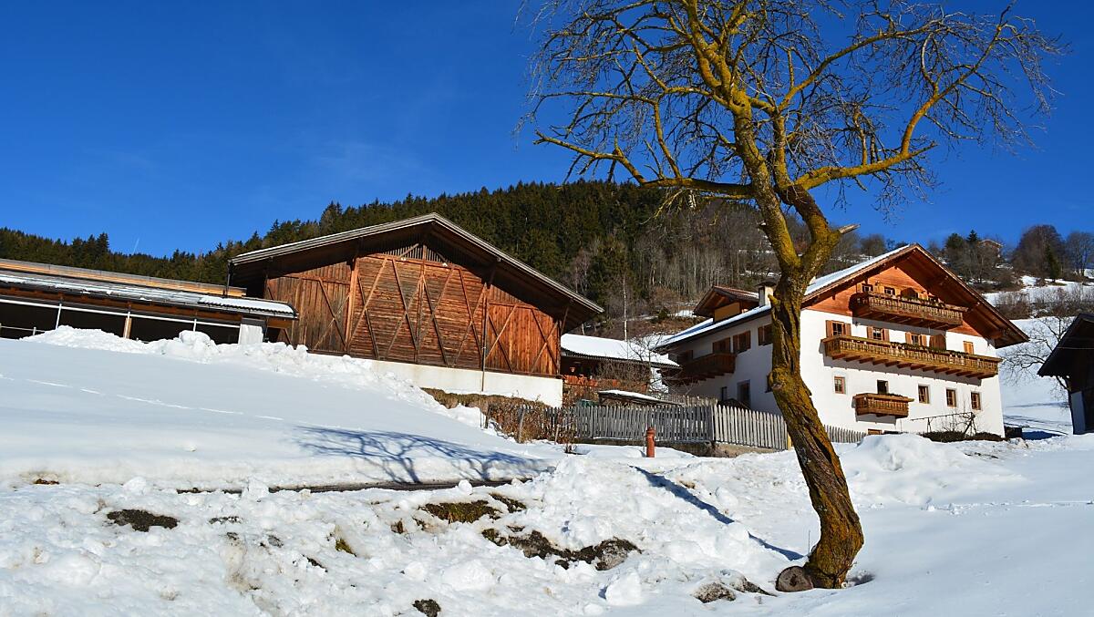 Oberglarzhof - Fotogalerie Photo