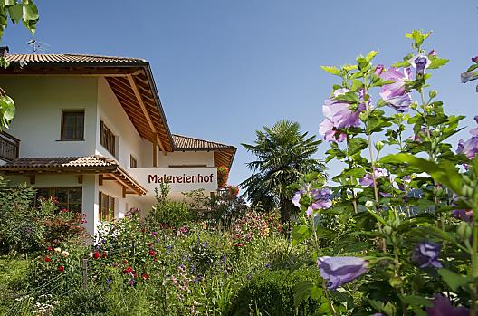 Malgreienhof - Seznam Photo