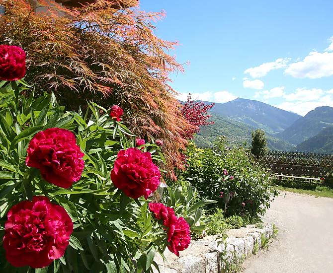 Gamperhof - Fotogalerie Photo