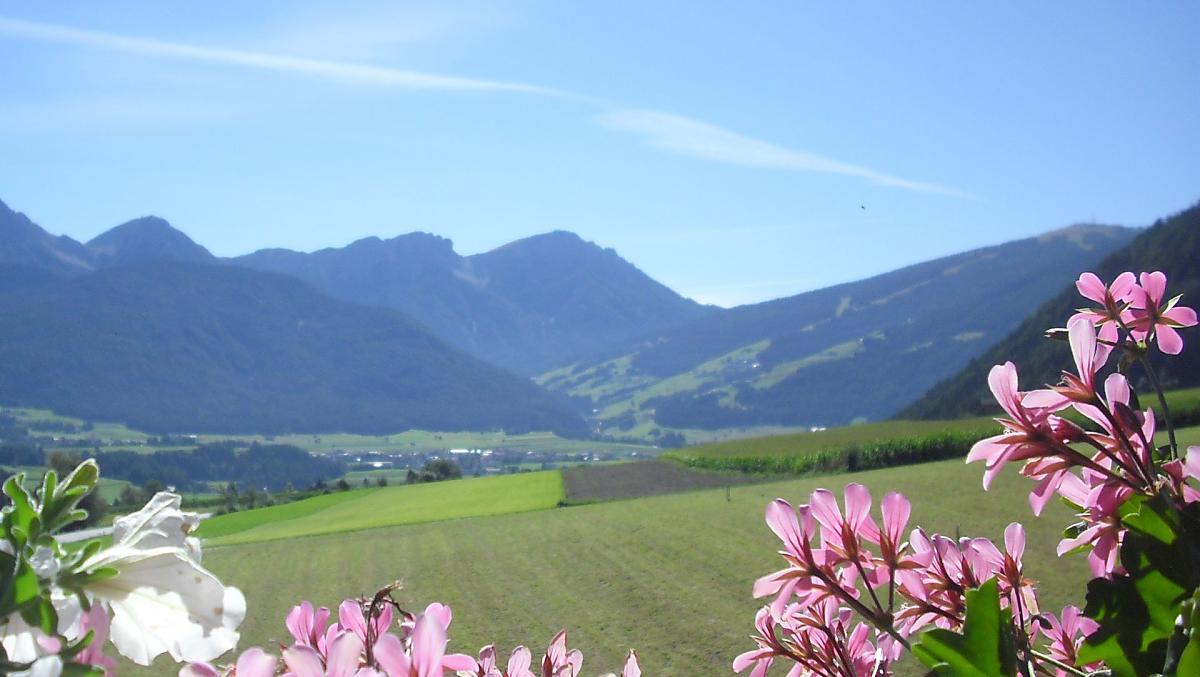 Obwegiserhof - Fotogalerie Photo