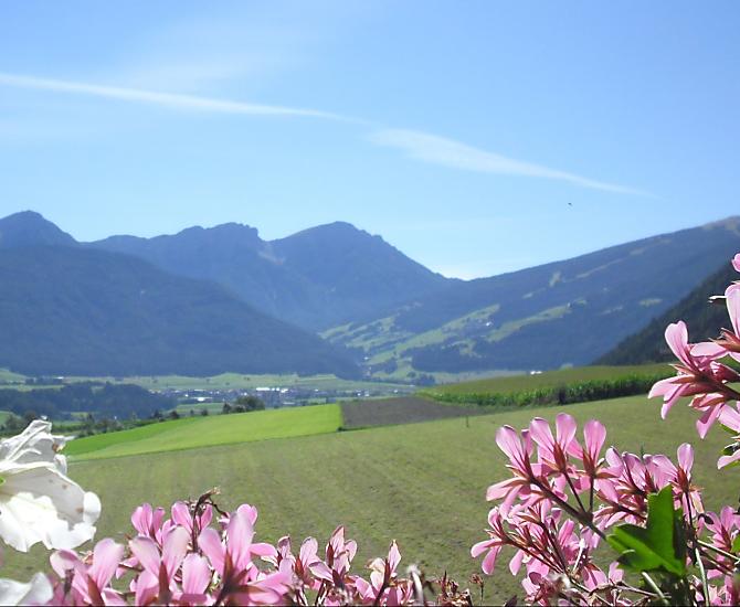 Obwegiserhof - Fotogalerie Photo
