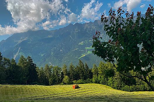Flatscherhof - Seznam Photo