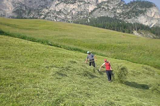 Soleiga - Seznam Photo
