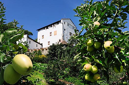 Ansitz Helmsdorf - Seznam Photo