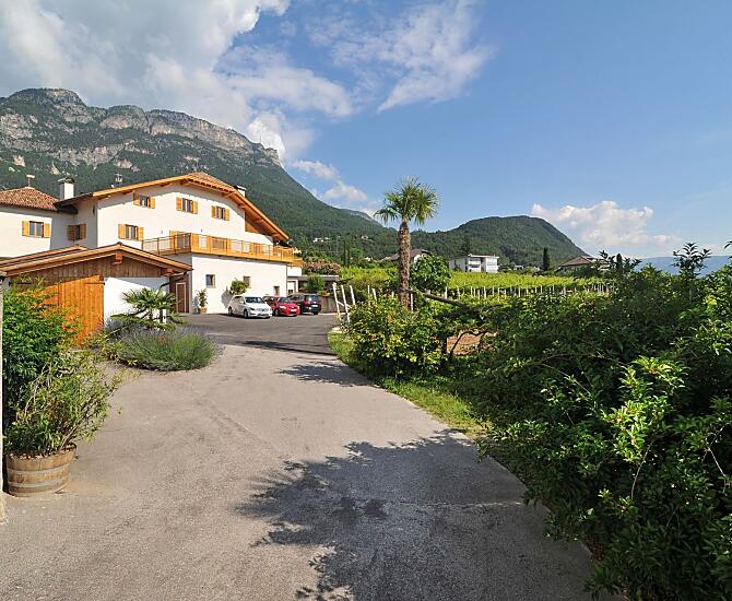 Weingut Oberpreyhof - Fotogalerie Photo