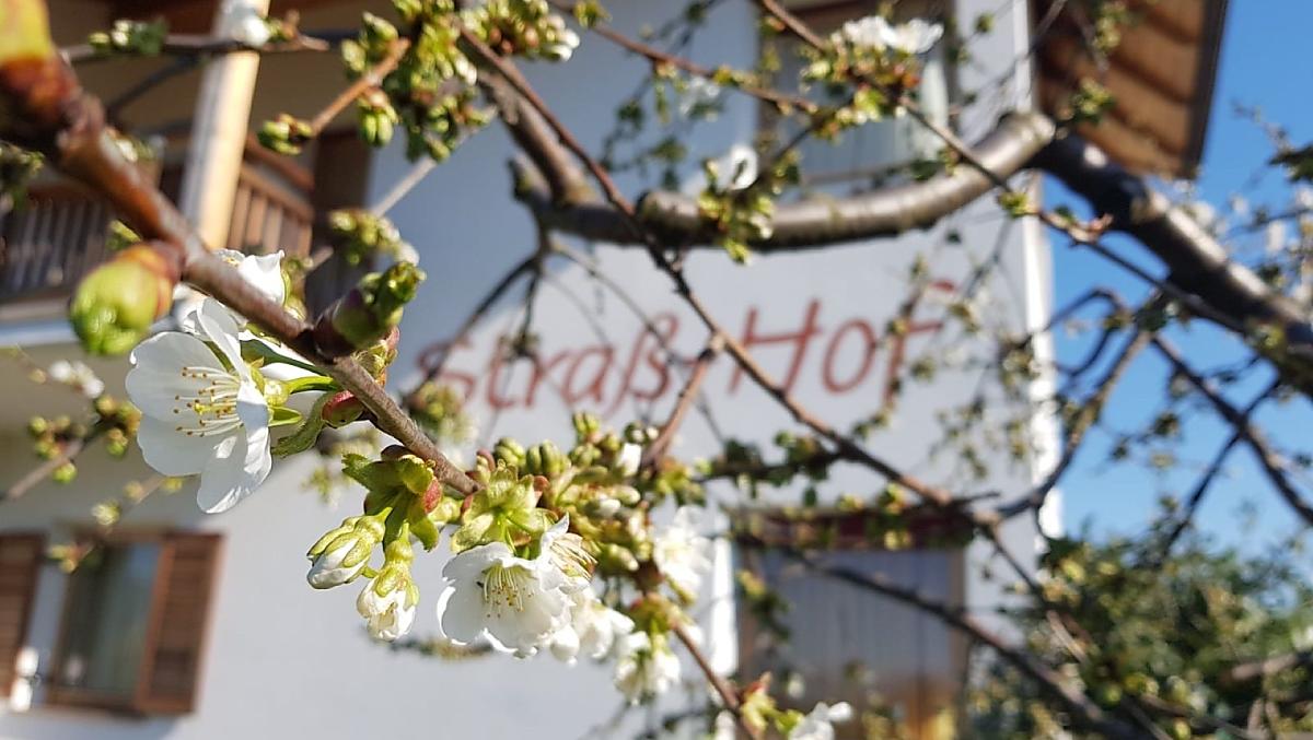 Straß-Hof - Fotogalerie Photo