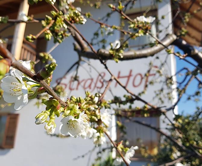 Straß-Hof - Fotogalerie Photo