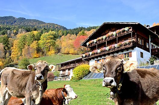 Wegscheiderhof - Seznam Photo