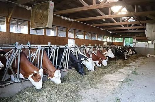 Grafhof - Seznam Photo