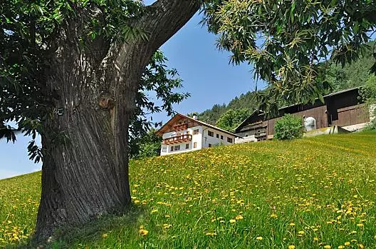 Statek Wöhrmannhof v mori pampelišek