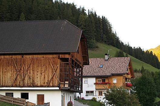 Zele - Seznam Photo