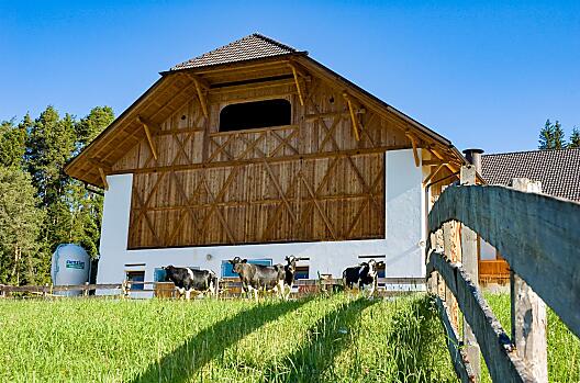 Lanerhof - Seznam Photo