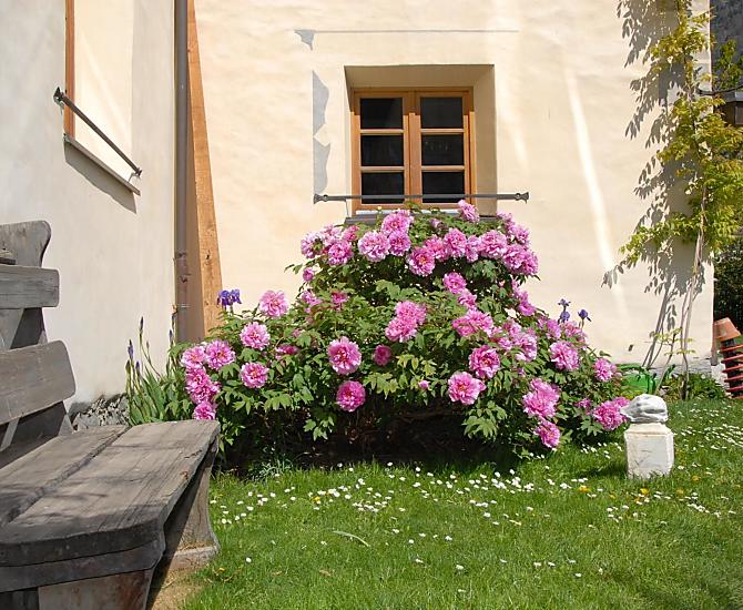 Bauernhof Vill - Fotogalerie Photo