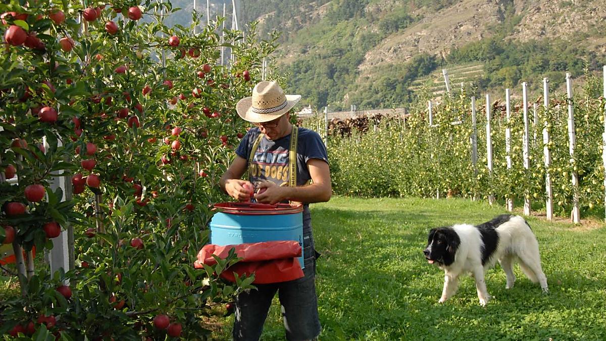 Bauernhof Vill - Fotogalerie Photo