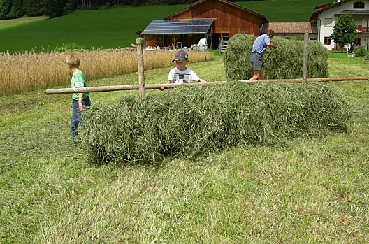 Velcí a malí pri sklizni sena