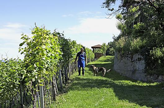 Engadinerhof - Seznam Photo