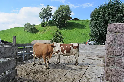 Schildberghof - Seznam Photo