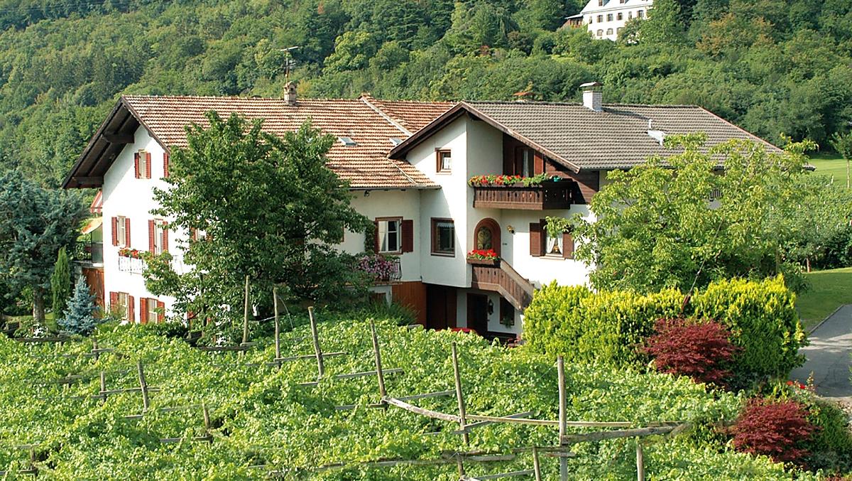 Haus Moargütl - Fotogalerie Photo