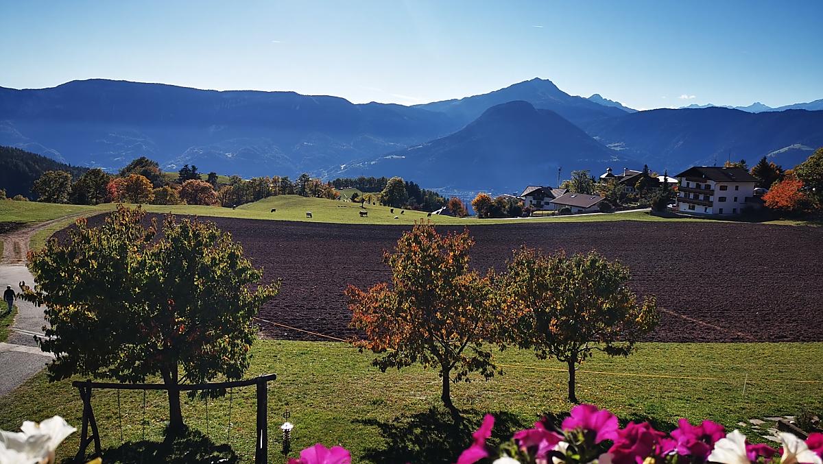 Wieserhof - Fotogalerie Photo