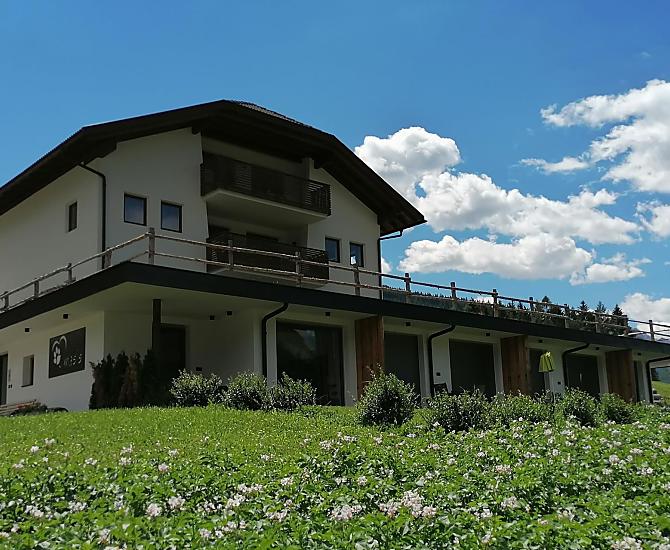 Masis - Fotogalerie Photo