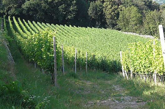 Haidnerhof - Seznam Photo