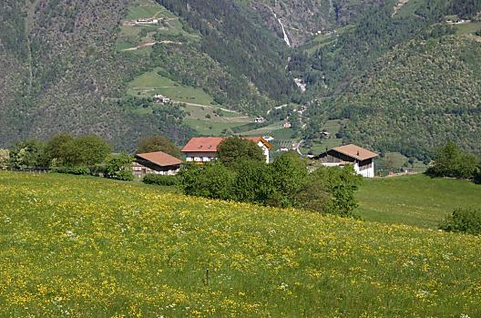 Niederhof - Seznam Photo