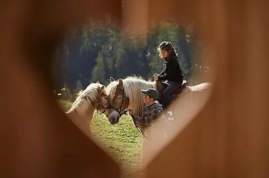 Sotciastel - Seznam Photo