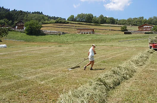Malsötscherhof - Seznam Photo