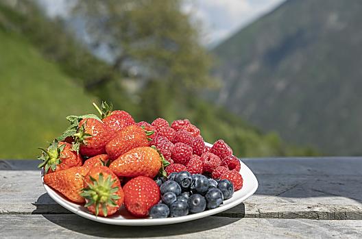Čerstvé ovoce a zelenina z naší zahrádky