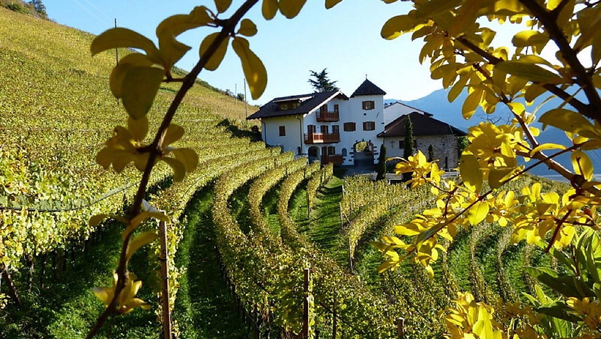 Pflanzerhof - Fotogalerie Photo