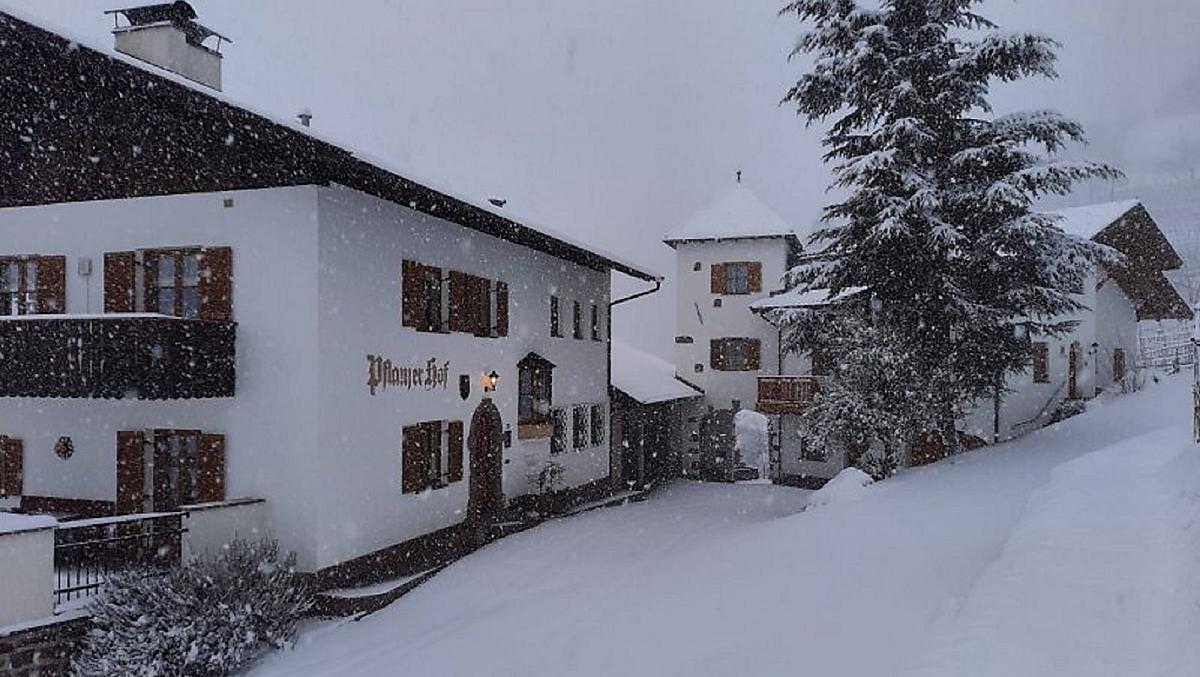 Pflanzerhof - Fotogalerie Photo