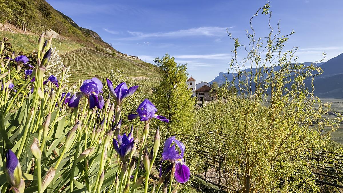 Pflanzerhof - Fotogalerie Photo