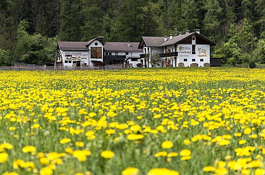 Peintenhof - Seznam Photo