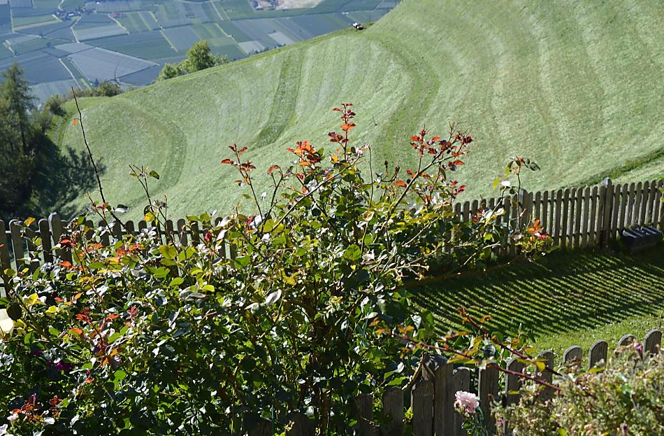 Uitzicht op de pas gemaaide weiden