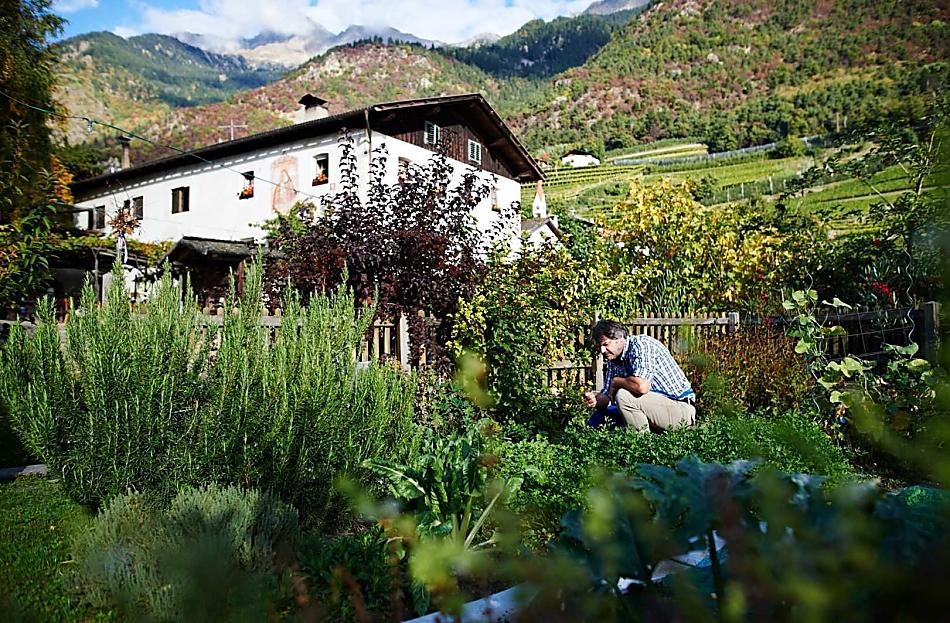 Schnalshuberhof - Fotogalerie Photo