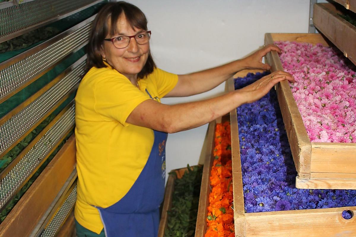 Die Kräuter werden am Hof schonend getrocknet