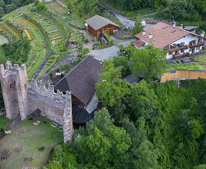 Pflegerhof - Fotogalerie Photo