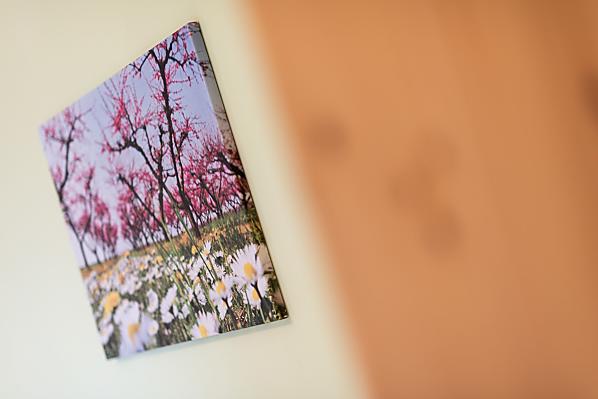 Eich-Hof - Pokoje a apartmány Photo