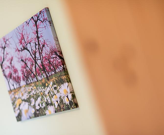 Eich-Hof - Fotogalerie Photo