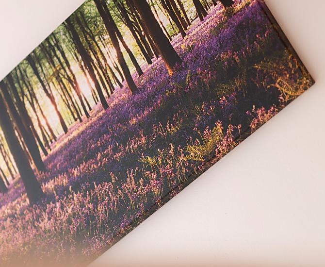 Eich-Hof - Fotogalerie Photo