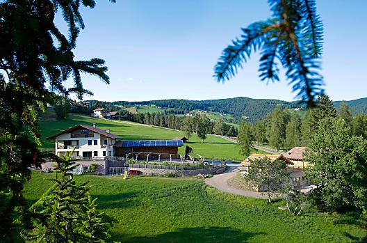 Obertimpflerhof - Seznam Photo
