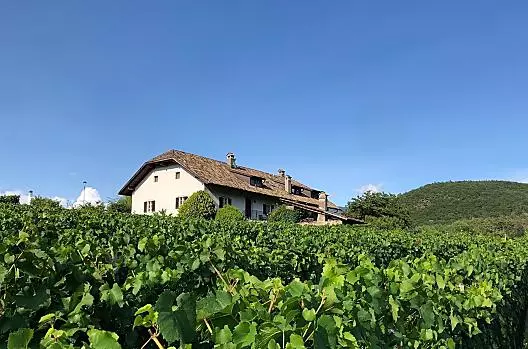 Köfelehof - Seznam Photo