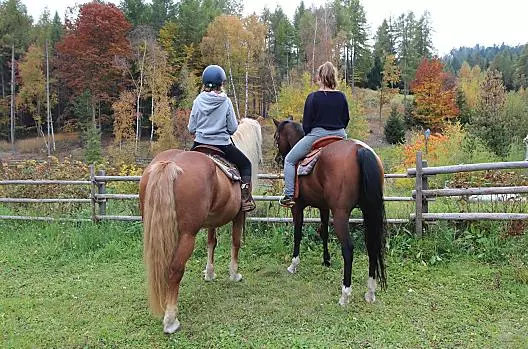 Töniglerhof - Seznam Photo