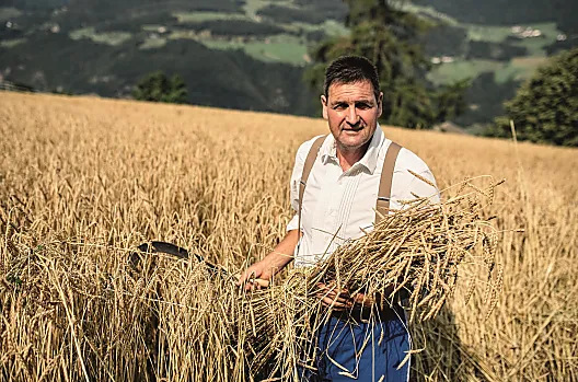 Obermalid - Seznam Photo