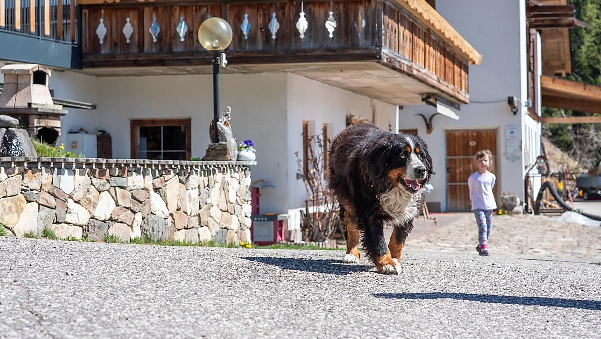 Kalchgruberhof - Fotogalerie Photo